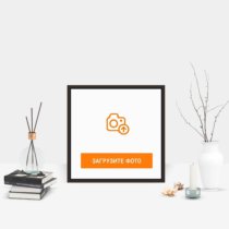 Фотография на холсте 40х40 в парящей теневой рамке цвета венге