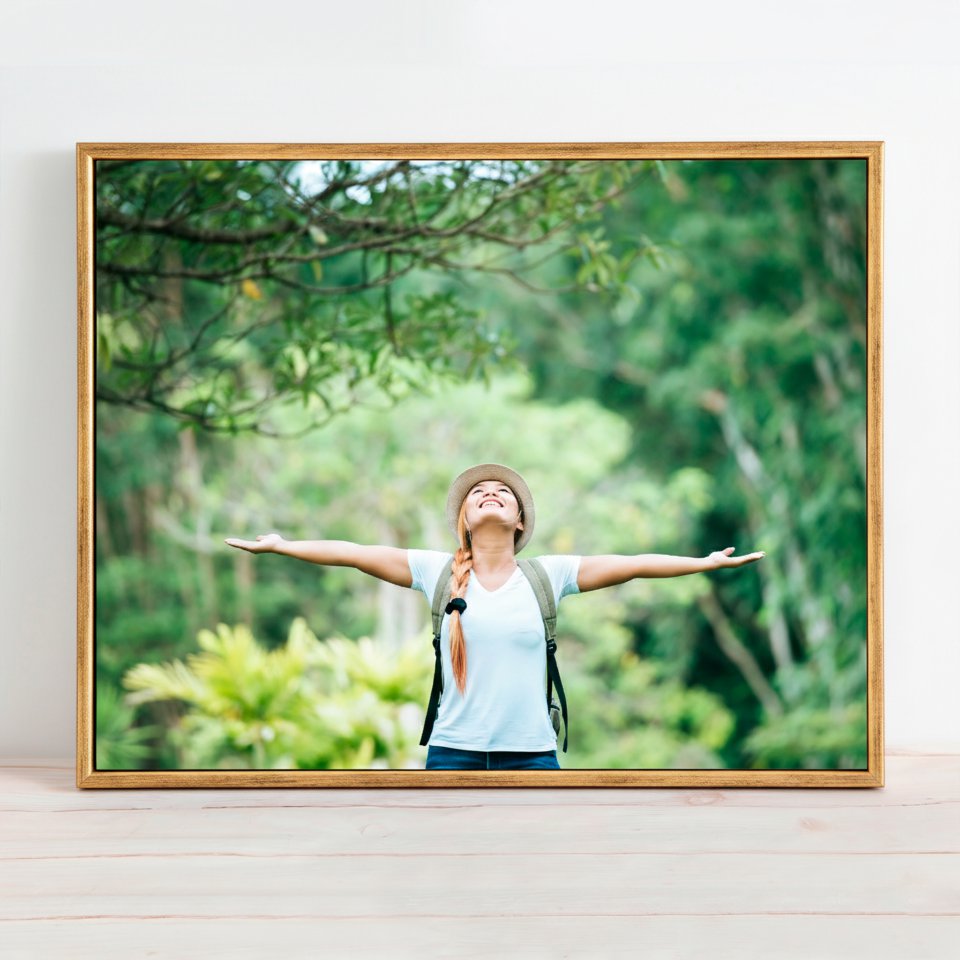 Фотография на холсте 60х40 в парящей теневой рамке цвета античное золото