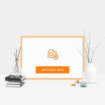 Фотография на холсте 60х40 в парящей теневой рамке цвета античное золото