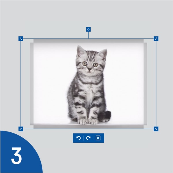 Выбор качественной фотографии Холст с котом